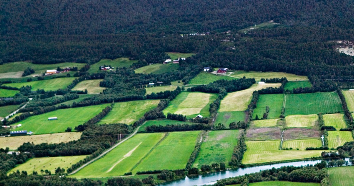 Se på Lesja! Idébanken