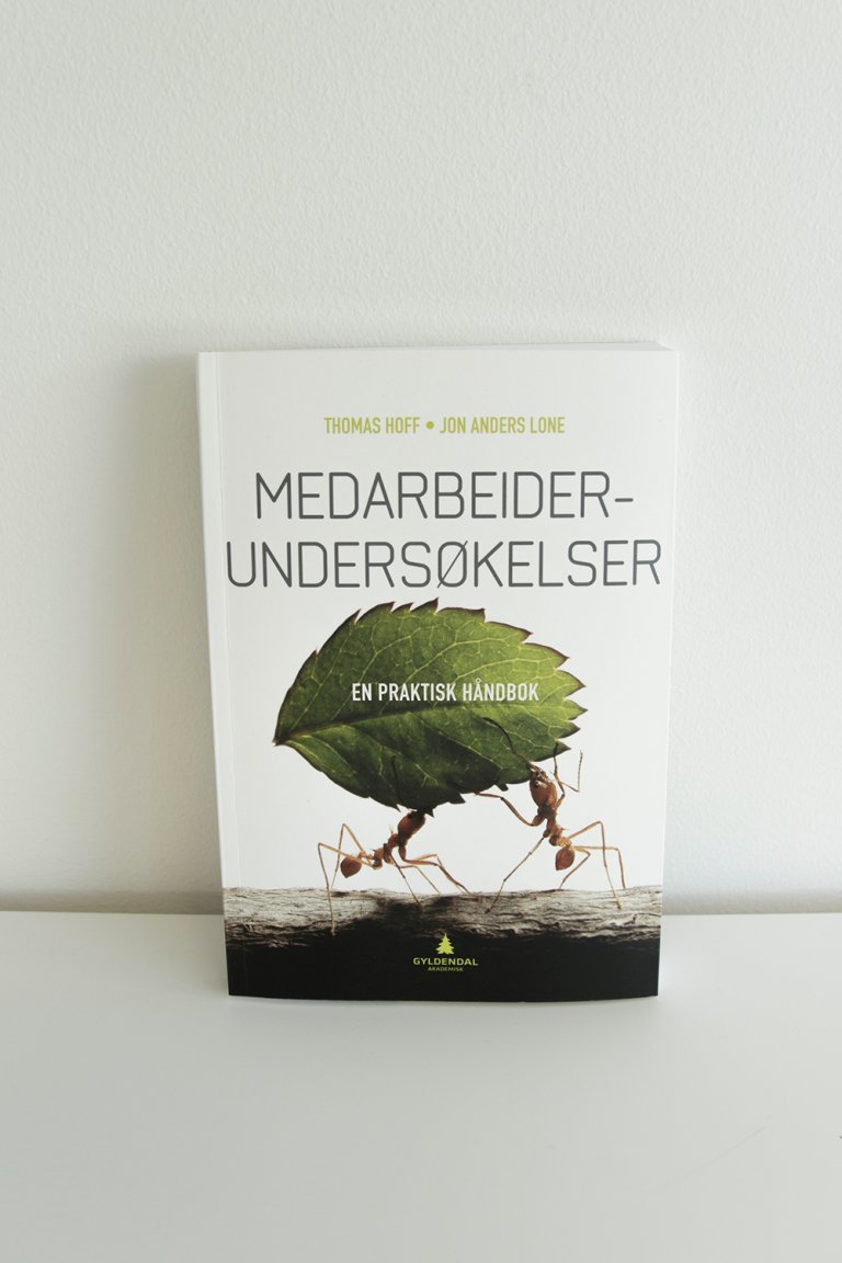 Bok - medarbeiderundersøkelser